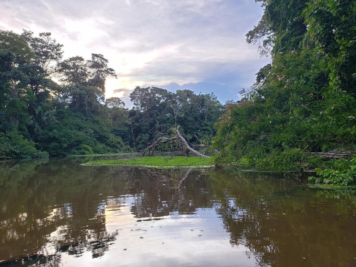 Casa Thirema Tortuguero Ξενοδοχείο Εξωτερικό φωτογραφία