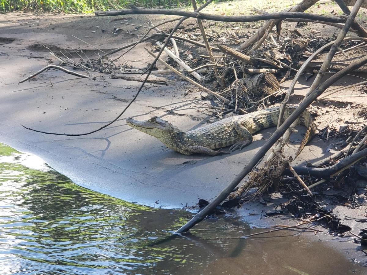 Casa Thirema Tortuguero Ξενοδοχείο Εξωτερικό φωτογραφία